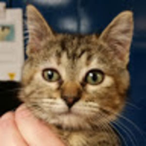 Meet your Posher, Ethan